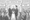 Cision Cooperation Confusion: The Danger of Rushed Marriages